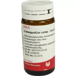 ARNICA E Bitki toplam D 2 Globuli, 20 g
