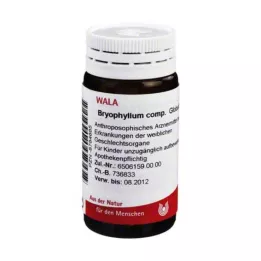 BRYOPHYLLUM COMP.Globuli, 20 gr