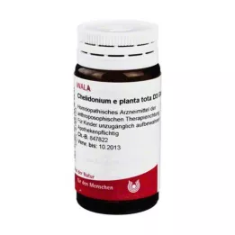 CHELIDONIUM E bitkisi toplam D 3 Globuli, 20 g
