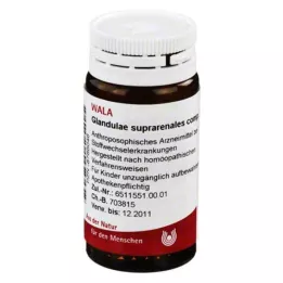 GLANDULAE SUPRARENALES comp.Globuli, 20 g