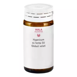 HYPERICUM EX Herba D 2 Globuli, 20 gr