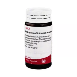 MANDRAGORA OFFICINARIUM e kök D 4 Globuli, 20 g