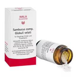 SAMBUCUS COMP Globuli, 20 gr