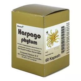 HARPAGOPHYTUM BIOXERA Kapsüller, 60 adet