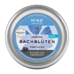 SELBSTVERTRAUEN Dr. Bacha göre Bach çiçek pastili, 50 gr