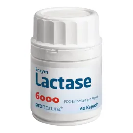 Laktaz 6000 FCC kapsül, 60 adet