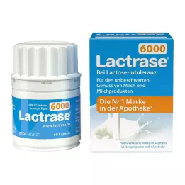 LACTRASE 6.000 FCC kapsül, 60 adet
