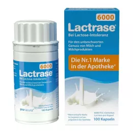 LACTRASE 6.000 FCC kapsül, 100 adet