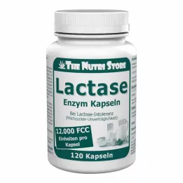 LACTASE 12.000 FCC Enzim kapsülleri, 120 adet