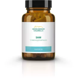 SAM S-ADENOSYLMETHIONIN kapsüller, 60 adet