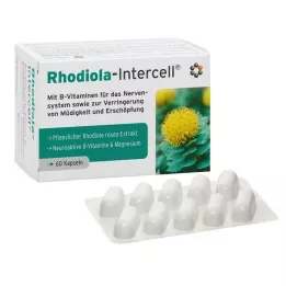 RHODIOLA-INTERCELL kapsül, 60 adet