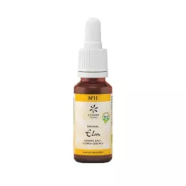 BACHBLÜTEN No.11 Karaağaç Organik, 20 ml