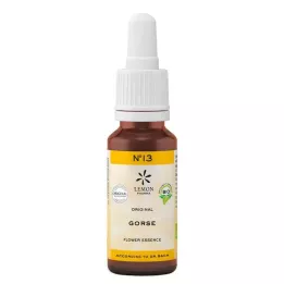 BACHBLÜTEN No.13 Karaçalı Organik, 20 ml