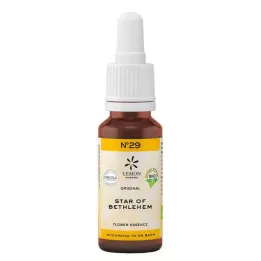BACHBLÜTEN No.29 Bethlehem Yıldızı Organik, 20 ml
