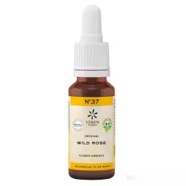 BACHBLÜTEN No.37 Yabani Gül Organik, 20 ml