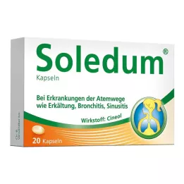 SOLEDUM Kapsüller junior 100 mg, 20 adet