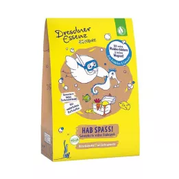 DE Toprak Serçesi Hazine Sandığı İyi Eğlenceler, 1 adet
