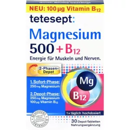 TETESEPT Magnezyum 500+B12 Depo Tabletler, 30 adet
