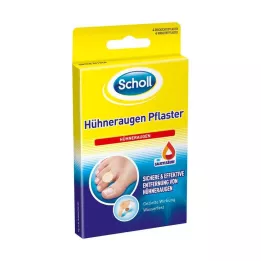 SCHOLL Mısır sıvaları, 4 adet