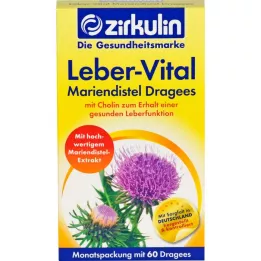ZIRKULIN Leber-Vital Süt Devedikeni Tabletleri, 60 adet