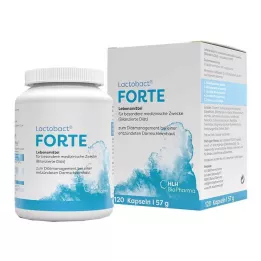 LACTOBACT Forte gastro-dirençli kapsüller, 120 adet