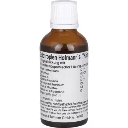 GOLDTROPFEN Hofmannın Königseer Lsg.z.Z.Taken, 50 ml