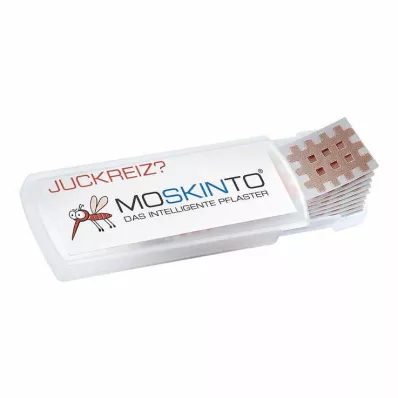 MOSKINTO Alçı, 24 adet
