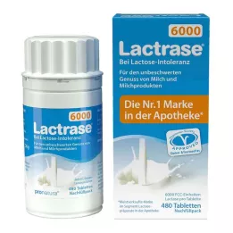 LACTRASE 6.000 FCC Tbl.Click dağıtıcı yedek paketi, 480 adet