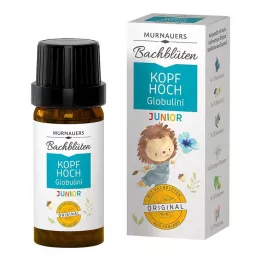 BACHBLÜTEN Murnauerin Çocukları Baş Yukarı Globulini, 10 g