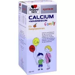 DOPPELHERZ Kalsiyum+Magnezyum ailesi sistem sıvısı, 250 ml