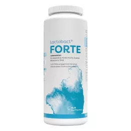 LACTOBACT Forte gastro-dirençli kapsüller, 300 adet