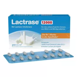 LACTRASE 12.000 FCC kapsül, 90 adet
