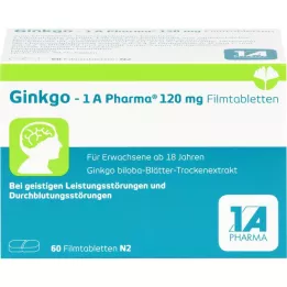 GINKGO-1A Pharma 120 mg film kaplı tablet, 60 adet