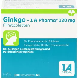 GINKGO-1A Pharma 120 mg film kaplı tablet, 120 adet