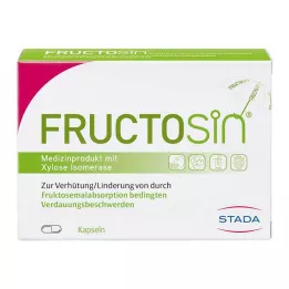FRUCTOSIN kapsül, 90 adet