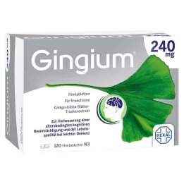 GINGIUM 240 mg film kaplı tabletler, 120 adet