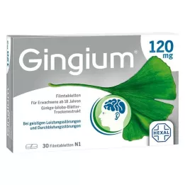 GINGIUM 120 mg film kaplı tabletler, 30 adet