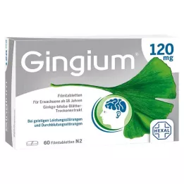 GINGIUM 120 mg film kaplı tabletler, 60 adet