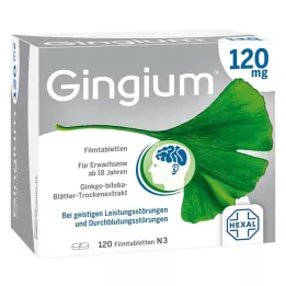 GINGIUM 120 mg film kaplı tabletler, 120 adet