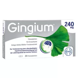 GINGIUM 240 mg film kaplı tablet, 20 adet