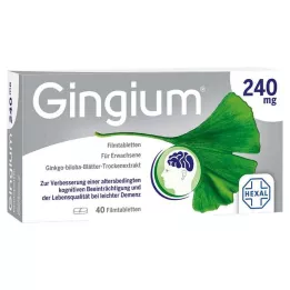 GINGIUM 240 mg film kaplı tabletler, 40 adet