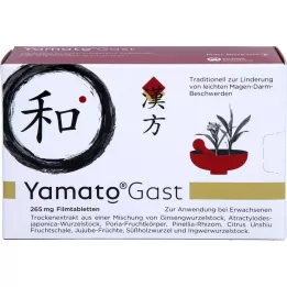 YAMATOGAST 265 mg film kaplı tabletler, 63 adet
