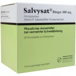 SALVYSAT Vatandaşlar 300 mg film kaplı tablet, 90 adet