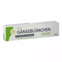 GÄNSEBLÜMCHEN Cadı fındığı içeren merhem &amp; Panthenol, 50 ml