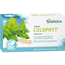 SIDROGA ColoPhyt 182 mg mide suyu yumuşak kapsülleri, 60 adet