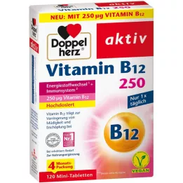 DOPPELHERZ B12 Vitamini 250 aktif tablet, 120 adet