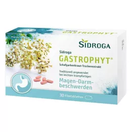 SIDROGA GastroPhyt 250 mg film kaplı tablet, 30 adet