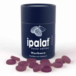 Ipalat Pastil Aromalı Sürüm Dut (40 adet)