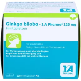 GINKGO BILOBA-1A Pharma 120 mg film kaplı tabletler, 120 adet