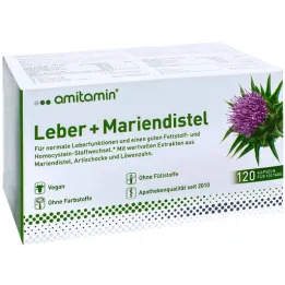 Amitamin deve dikeni + karaciğer kapsülleri (120 adet)